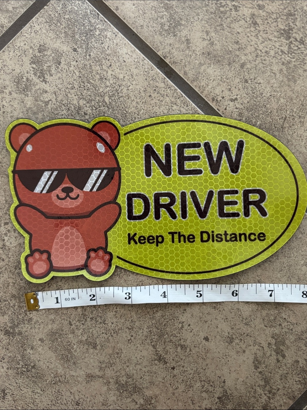 Teddy Bear New Driver Car Magnet